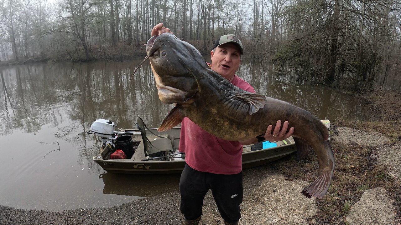 Flathead