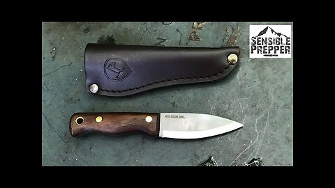 Condor Mini Bushlore Review