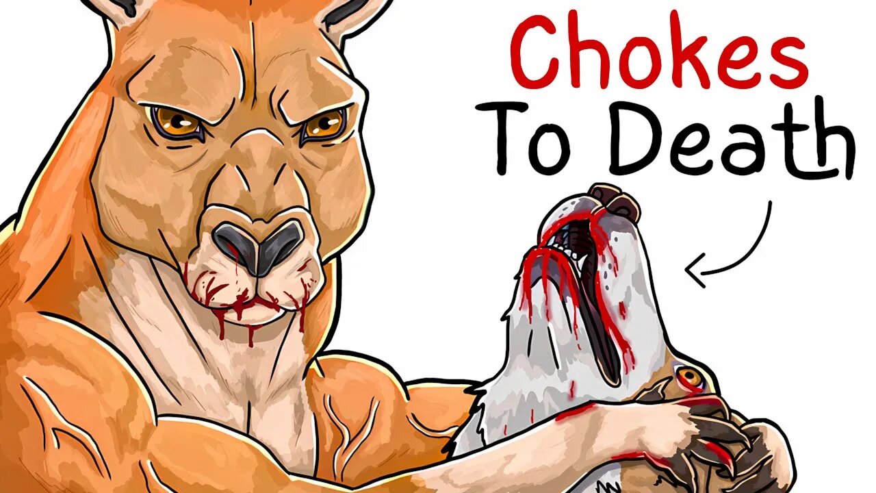 Kangaroo Survival Secrets: Why Life Is So Brutal