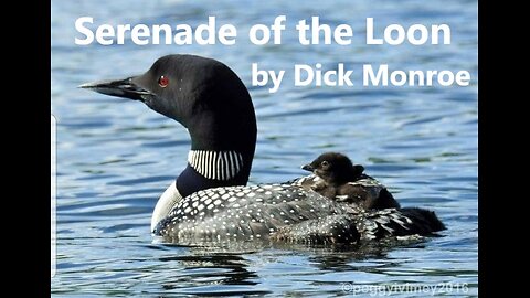 Serenade of The Loon (Poem into Song) Lyrics by Dick Monroe