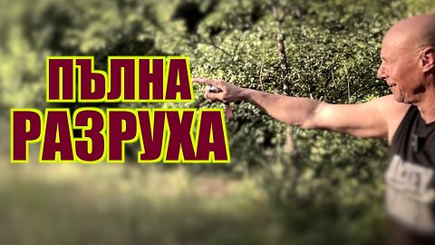 ПЪЛНА РАЗРУХА /ПЕЙТРИЪН/