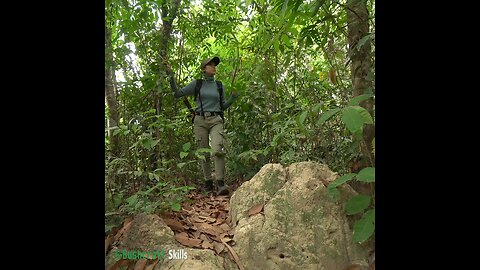bushcraft skills and camping video solo