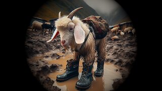 Muddy Boondock Shoes Reprised (SWMV)