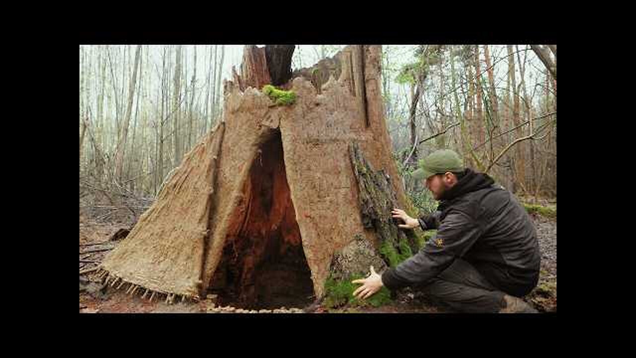 Building a Warm & Cozy Secret Shelter Inside a Giant Tree 🌳 | Bushcraft & Survival Dugout