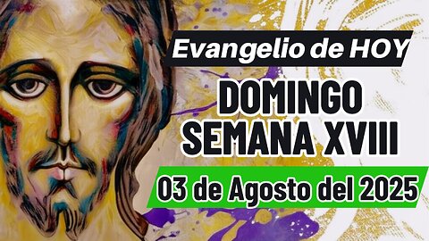 Evangelio de HOY Domingo 03 08 2025 Semana XVII Lc 12,13-21.