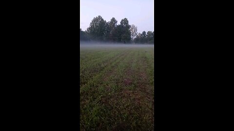 She Was in No Hurry Today