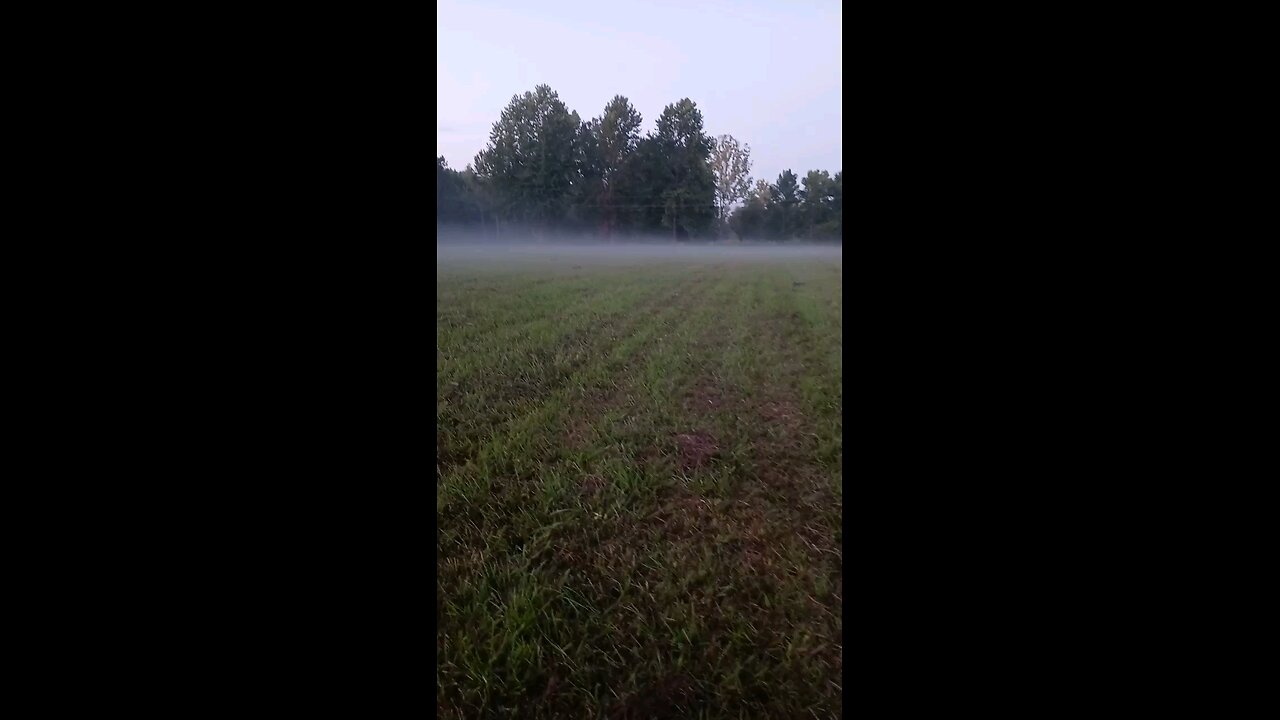 She Was in No Hurry Today