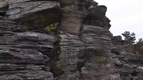 The original forest on flat earth part 15, 7 of 7, My Trip Unedited