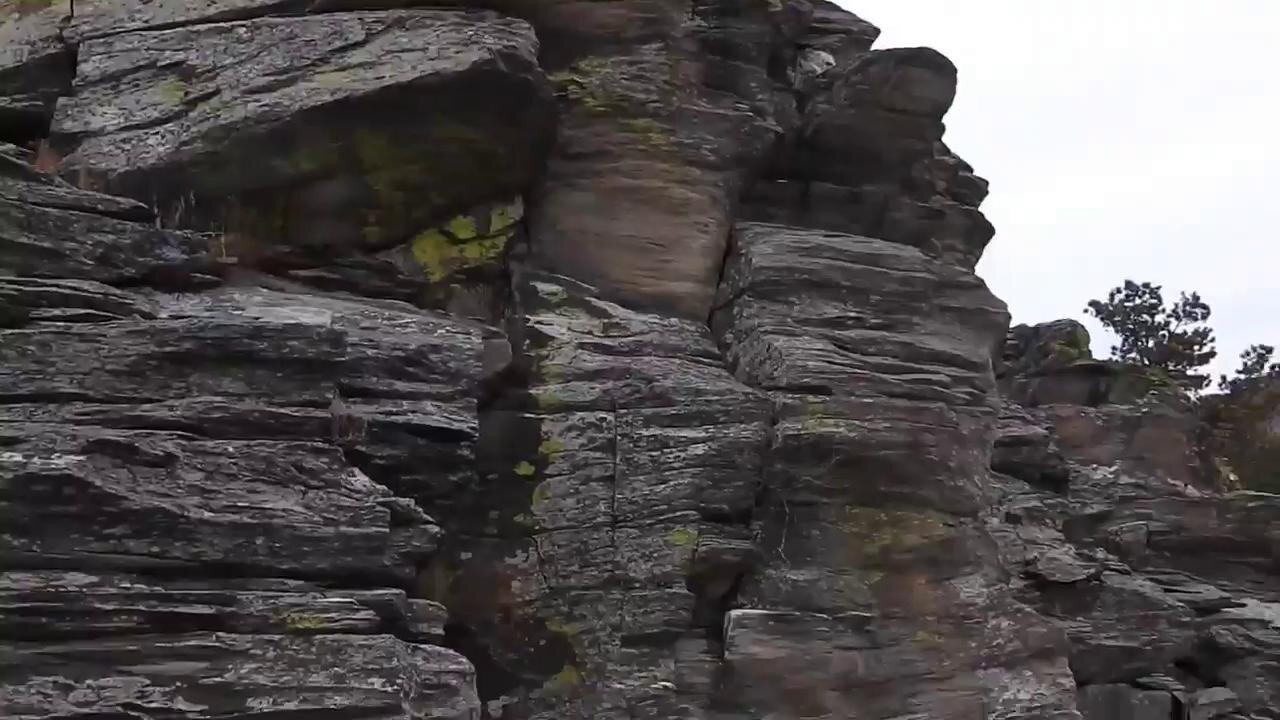 The original forest on flat earth part 15, 7 of 7, My Trip Unedited