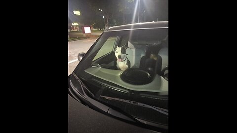 West Dallas 214- I can't wake my doggy up.