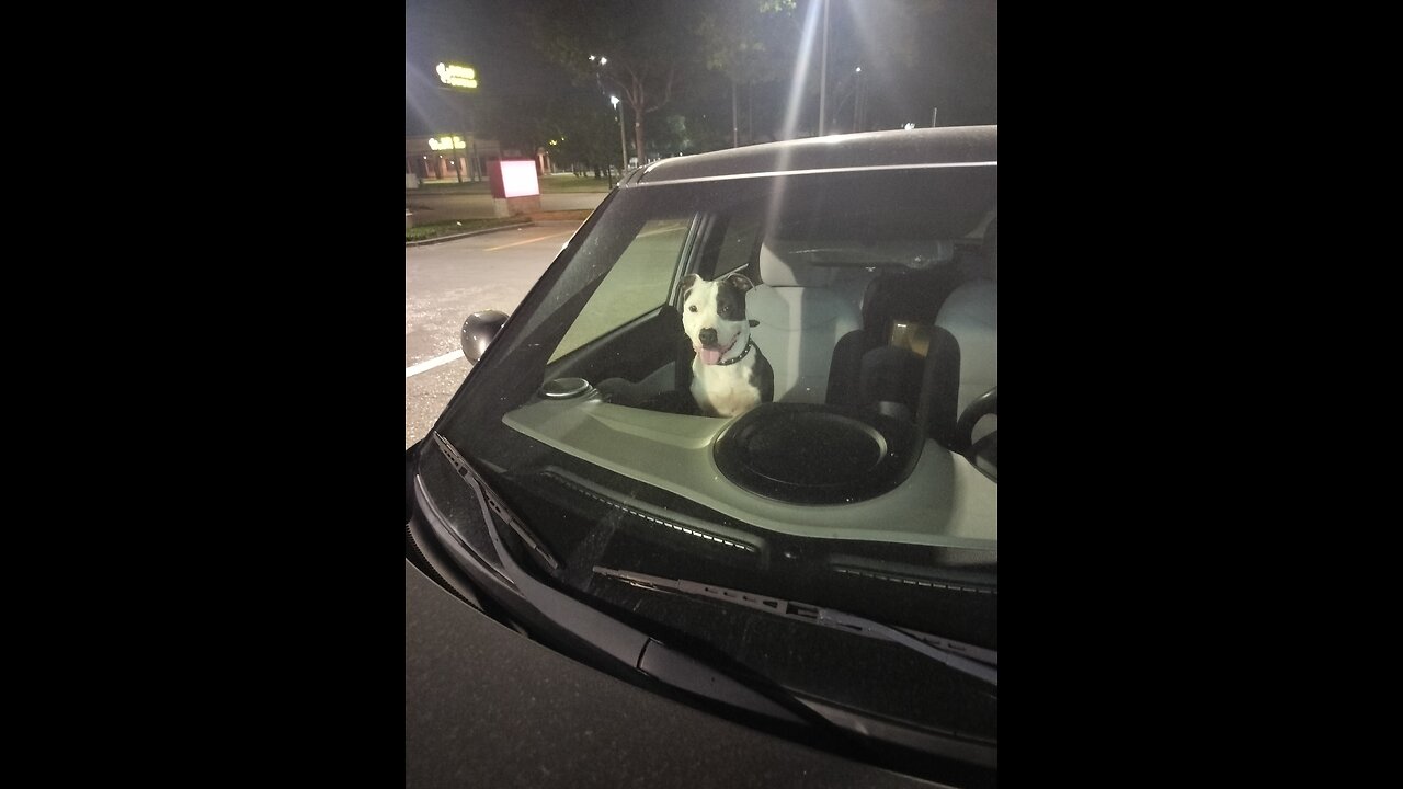 West Dallas 214- I can't wake my doggy up.