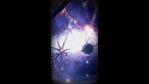 ¿Y si el Universo Fuera una Red Neuronal?