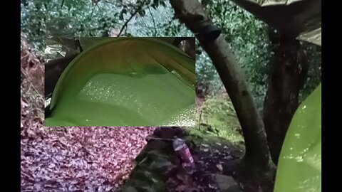 08, morning , chat , #2025, @ashoffgrid, stealth