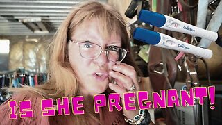 We GAVE Our GOAT A Pregnancy TEST!