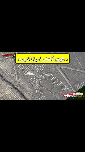 أسرار ما قبل الطوفان: هل تكشف نقوش الصخور عن حضارات مُفقودة؟