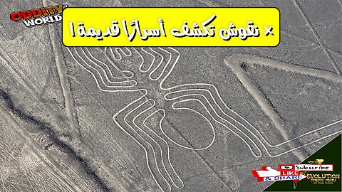 أسرار ما قبل الطوفان: هل تكشف نقوش الصخور عن حضارات مُفقودة؟