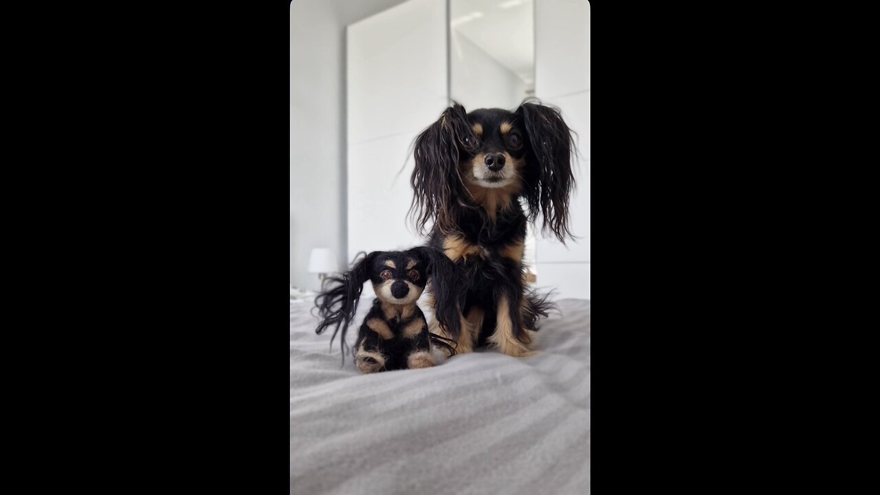 When the girls just wake up haha ​​it's so funny watch until the end