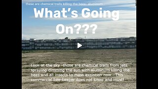 When Bees Go So Too Shall Mankind- Bees are almost extinct- Right Now!