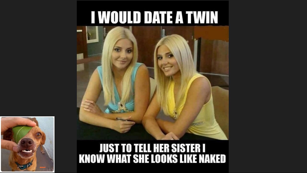 Memes That Will 99.0484% Make You Laugh. (e708)