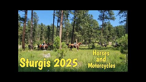 Sturgis 2025 Horses and Motorcycles