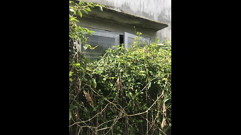 This abandoned house is coming back to life