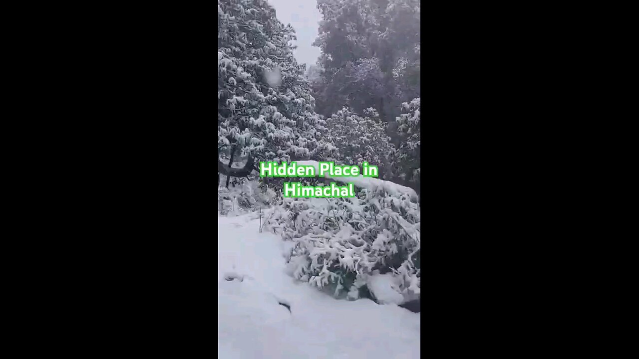 🇮🇳Bharat Magical Snowfall in Himachal(INDIA) |A Winter Paradise in the Himalayas!