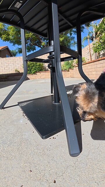 Waffles Hunting Scents