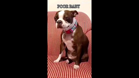 POOR BABY