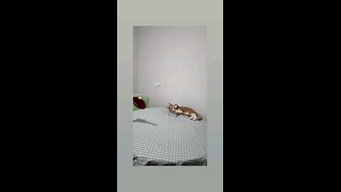 गजब का खिलाड़ी