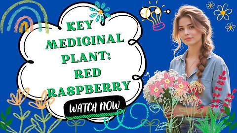 Key Medicinal Plant: Red Raspberry
