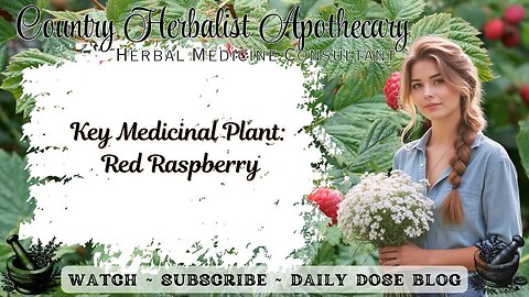 Key Medicinal Plant: Red Raspberry