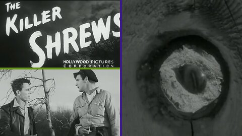 "The Killer Shrews (1959) | Classic Creature Feature Horror in Glorious B-Movie Madness!"