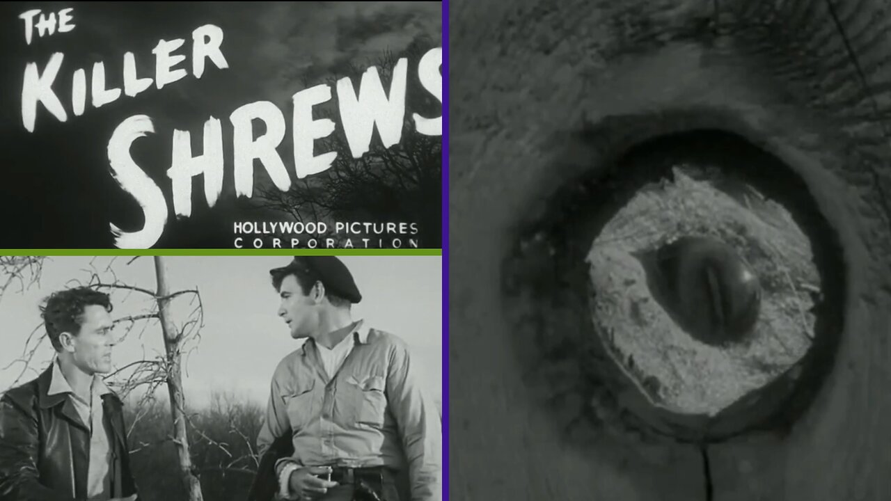 "The Killer Shrews (1959) | Classic Creature Feature Horror in Glorious B-Movie Madness!"