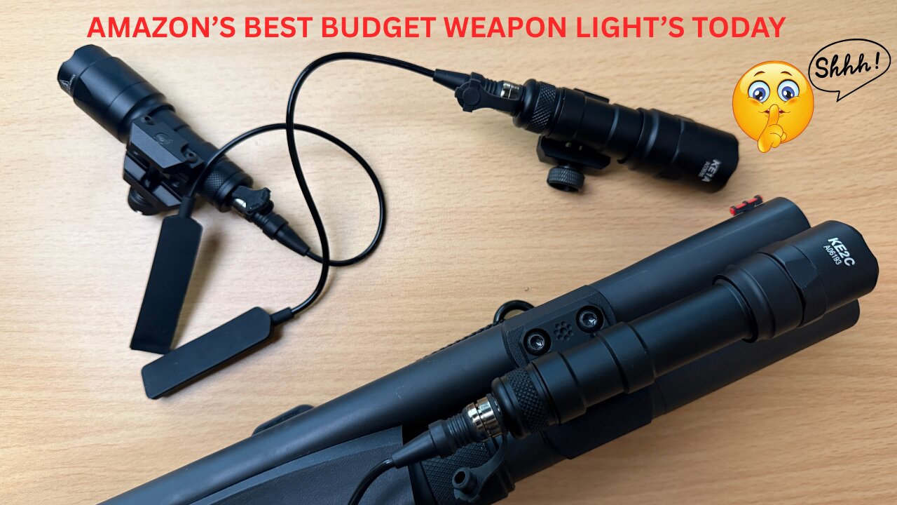 Best Budget Amazon Weapon Light's