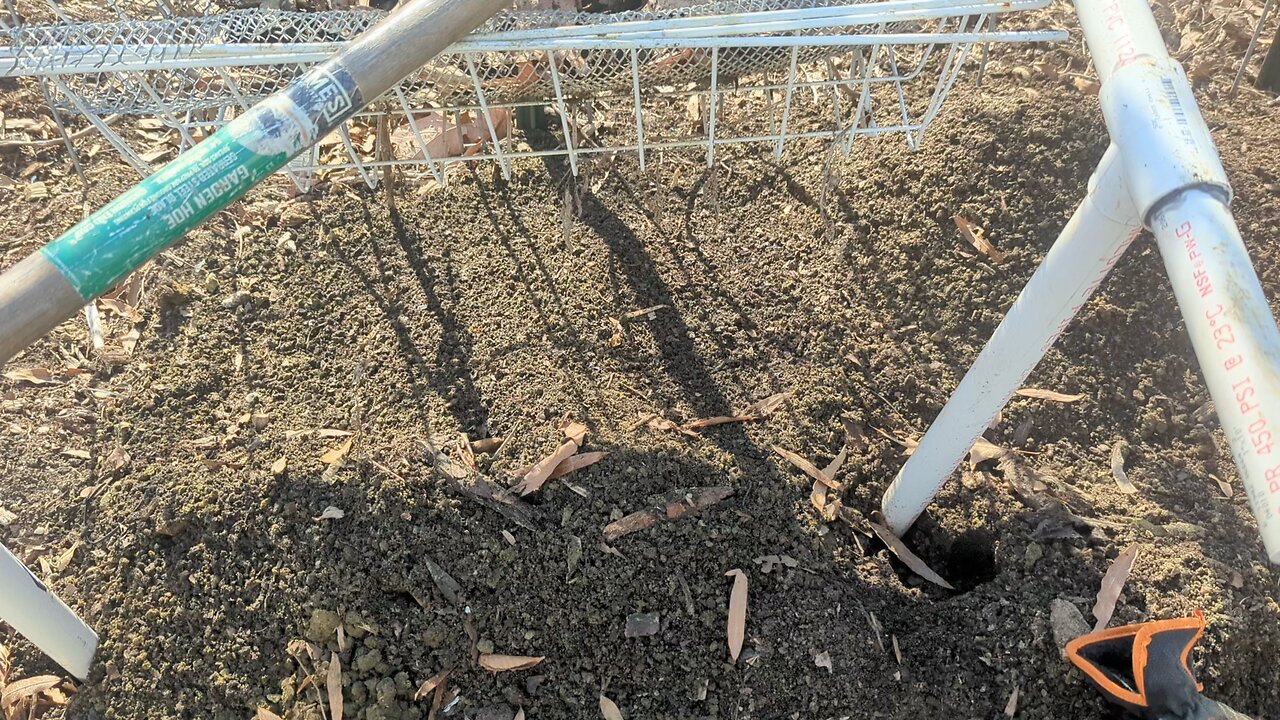 Best Way To Replenish The Soil