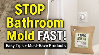 Stop Bathroom Humidity Fast!