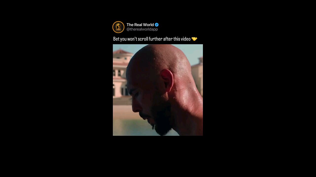 The Real World