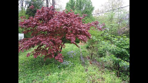 Stolen Realm - Power Leveling Lich Lord & Warrior