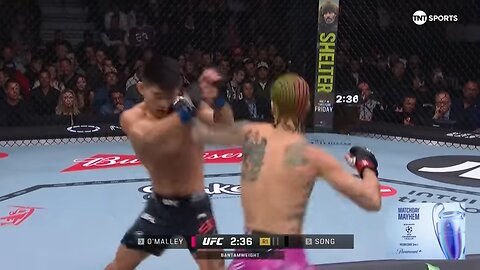 Sean O'Malley vs. Song Yadong | UFC Fight Highlights