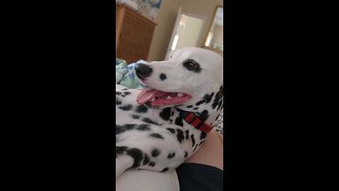 Luna Relaxing