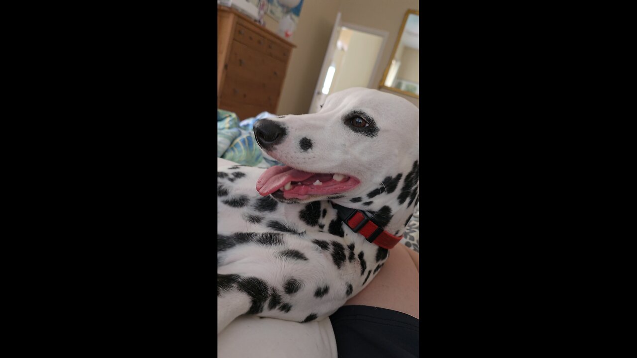 Luna Relaxing