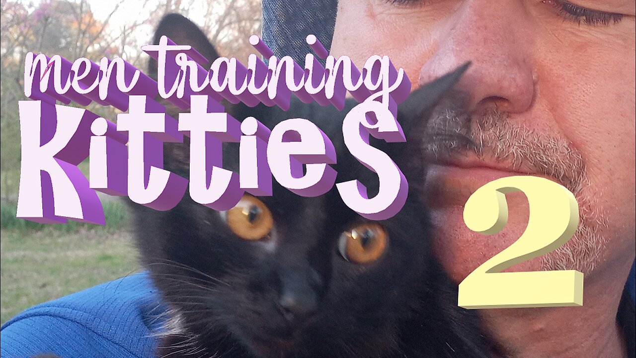 Men Training Kitties 2
