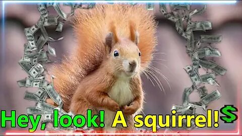 Looking at a "Squirrel" Instead of the Financial Reset