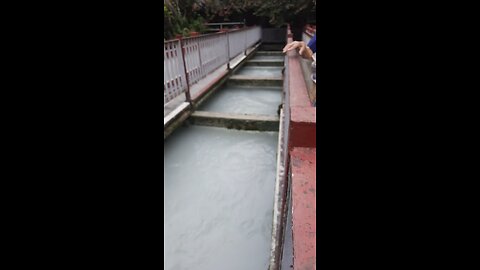 Ganga setu india
