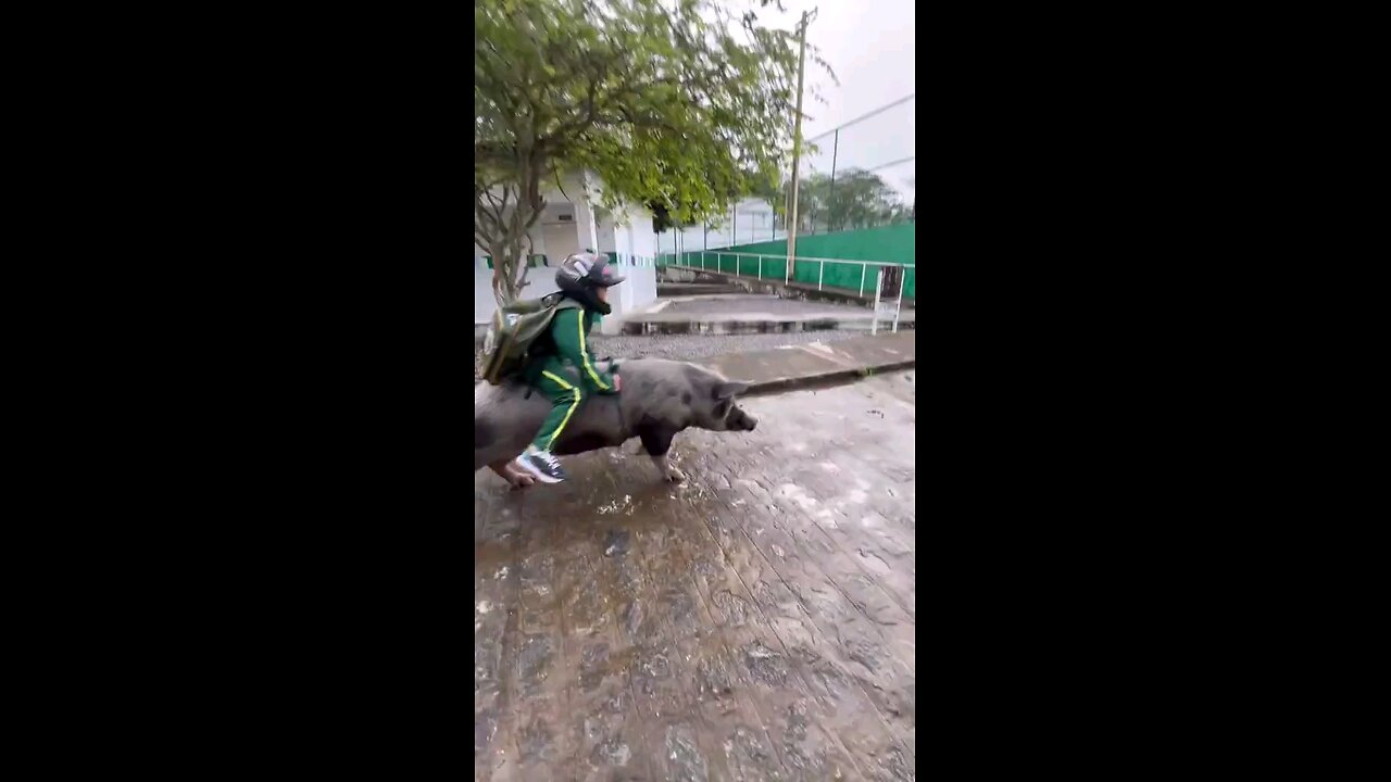 babi
