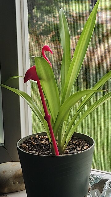 When No Trespassing Means Everyone But You