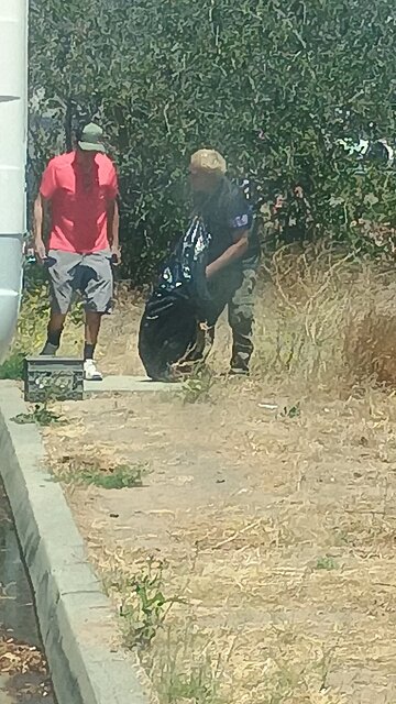 Senile draconian threatening humans