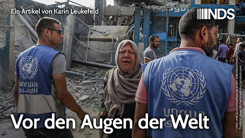 Vor den Augen der Welt | Karin Leukefeld | NDS-Podcast