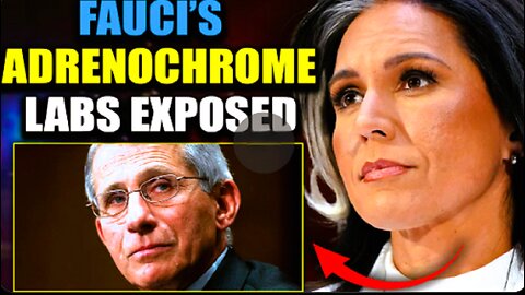PILNE WIADOMOŚCI: TULSI GABBARD I RFK JR. UJAWNIAJĄ UKRAINE BIOLABS ...