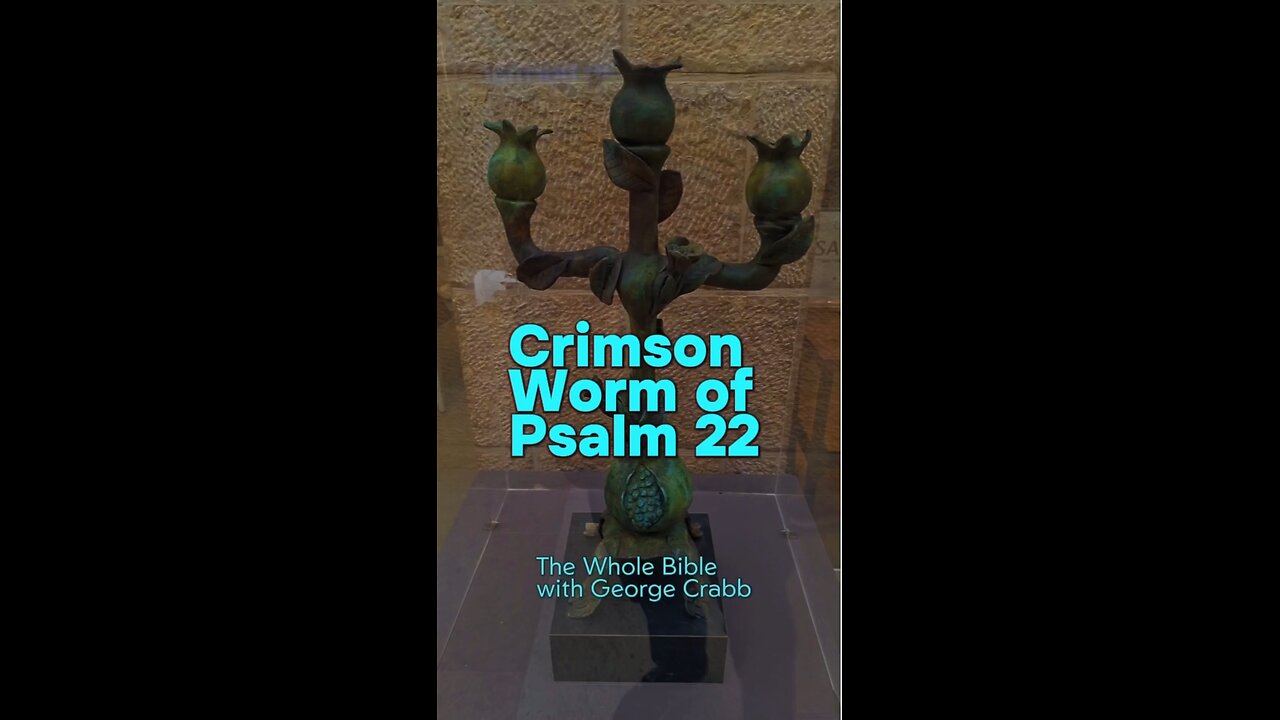 Mystery of Psalm 22 Revealed in Jerusalem